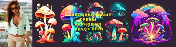 тгк Нефтекумск