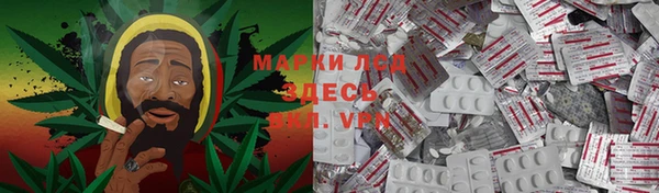 ПСИЛОЦИБИНОВЫЕ ГРИБЫ Нея