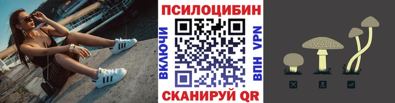 Псилоцибиновые грибы Psilocybine cubensis  Учалы 