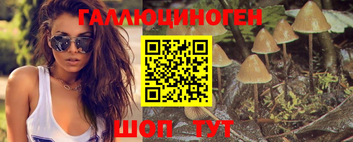 Псилоцибиновые грибы MAGIC MUSHROOMS  Вход с VPN  Галлюциногенные грибы прущие грибы  Учалы 