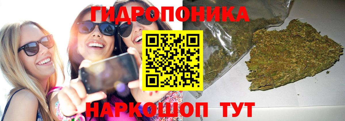 Конопля семена Учалы